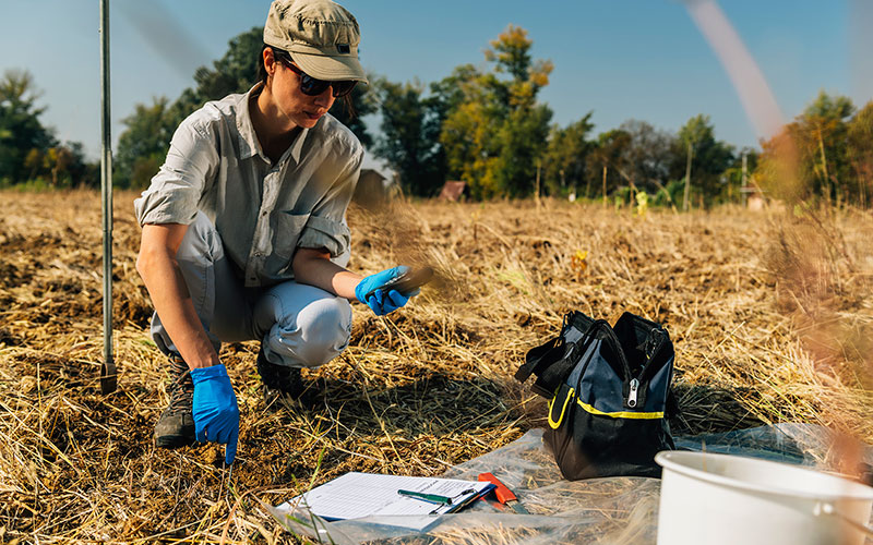 Environmental protection & cleanup